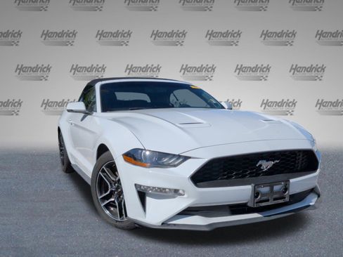 Used 2019 Ford Mustang Premium image 2