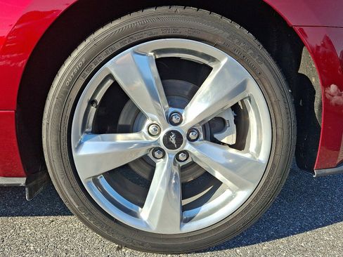 Used 2019 Ford Mustang Premium w/ Equipment Group 201A image 6