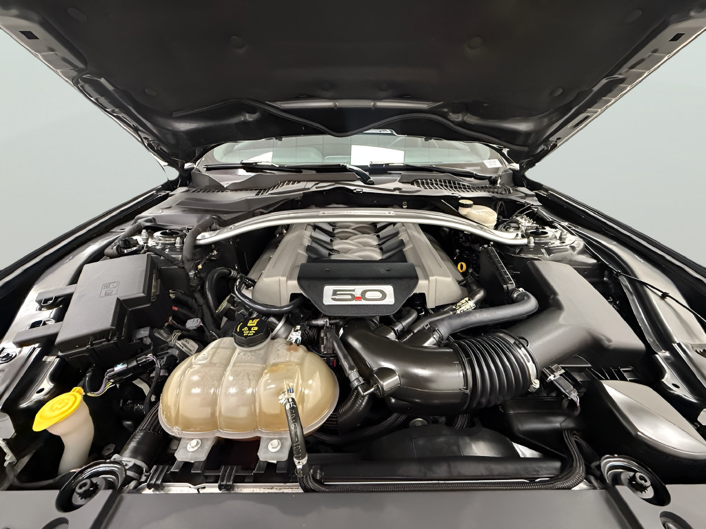 Used 2017 Ford Mustang GT Premium w/ Equipment Group 401A RWD image 23