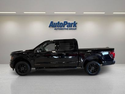 Used 2025 Ford F150 XLT w/ Equipment Group 302A MID