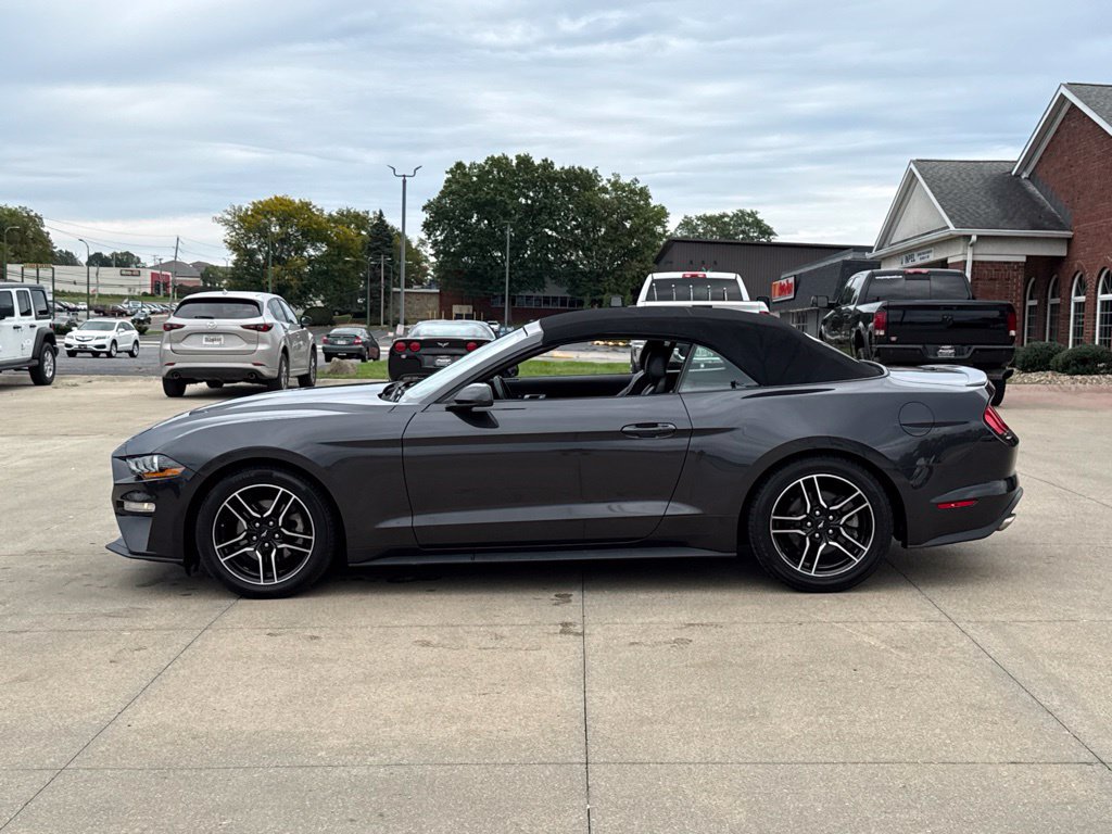 Used 2022 Ford Mustang Premium RWD image 5