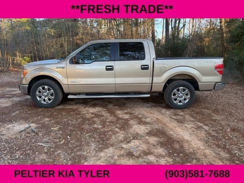 Used 2014 Ford F150 XLT w/ Equipment Group 302A Luxury image 8