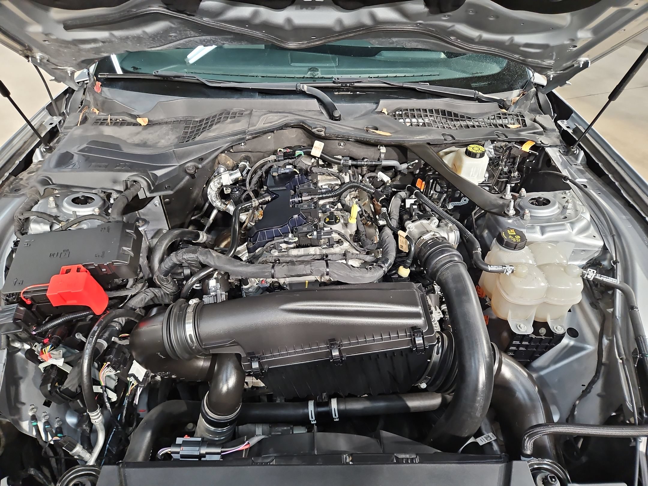Used 2024 Ford Mustang Premium RWD image 19