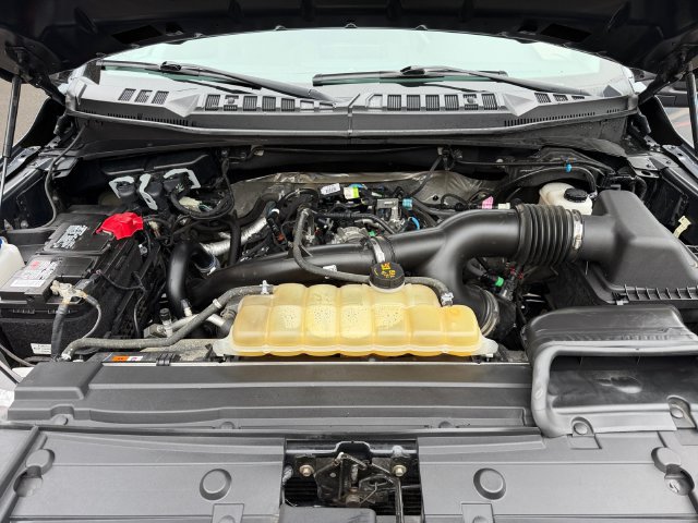 Used 2019 Ford F150 XL w/ Equipment Group 101A Mid AWD/4WD image 19