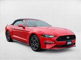 Used 2019 Ford Mustang Premium image 3