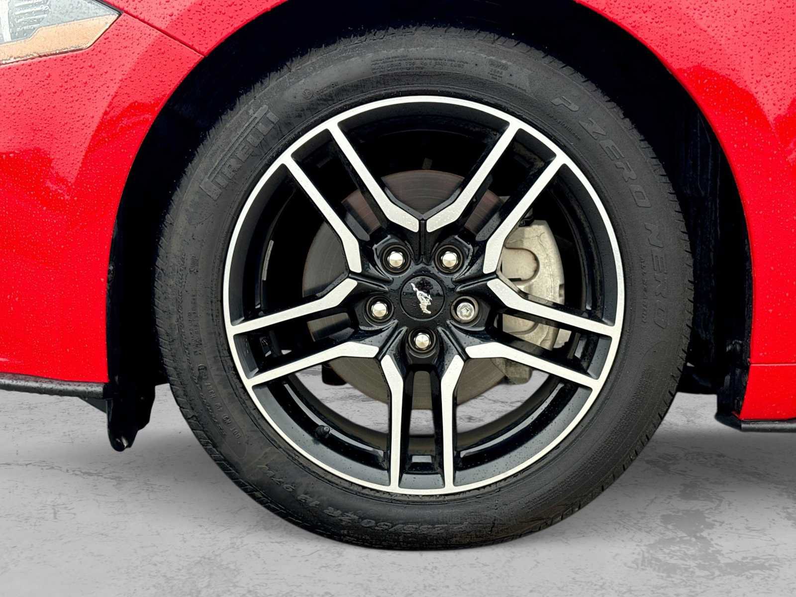 Used 2019 Ford Mustang Premium w/ Equipment Group 201A RWD image 12
