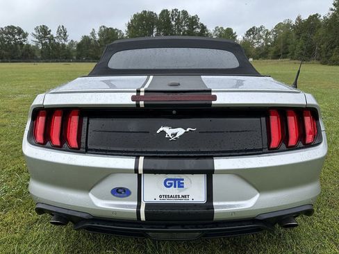 Used 2019 Ford Mustang Premium image 9