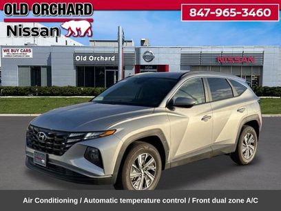 Used 2024 Hyundai Tucson Blue
