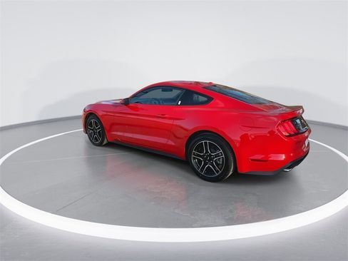 Used 2019 Ford Mustang Premium w/ Equipment Group 101A image 6