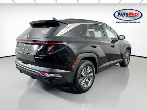 Used 2023 Hyundai Tucson Blue AWD/4WD image 2