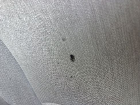 Used 2023 Honda Accord LX image 4