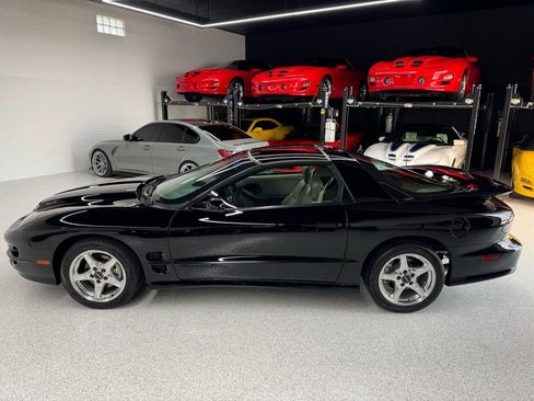 Used 1999 Pontiac Firebird Formula RWD image 9
