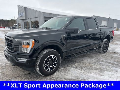 Used 2023 Ford F150 XLT w/ Equipment Group 302A High image 7