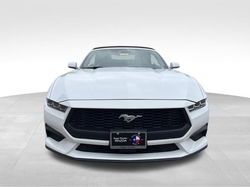 Used 2024 Ford Mustang Premium RWD image 2