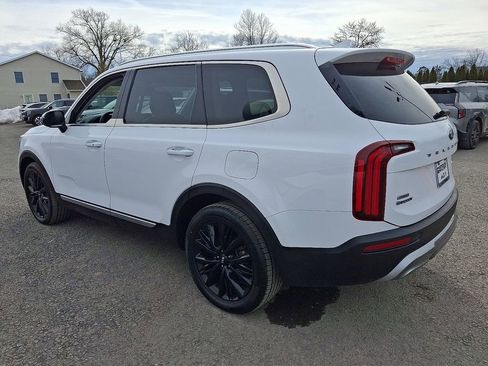 Certified 2021 Kia Telluride SX w/ SX Prestige Package image 5