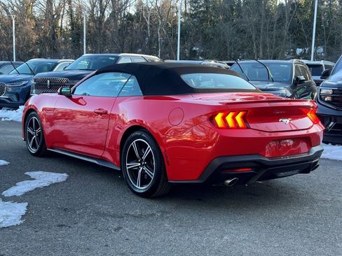 Used 2024 Ford Mustang Premium image 4