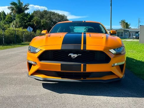 Used 2019 Ford Mustang Premium w/ Equipment Group 201A RWD image 2