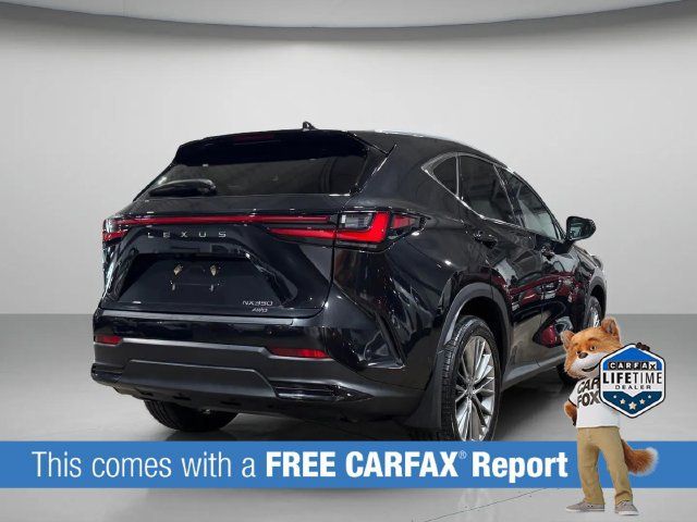 Used 2026 Lexus NX 350 AWD w/ Accessory Package (2T) image 4