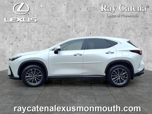 Certified 2024 Lexus NX 350 AWD w/ Cold Area Package image 4