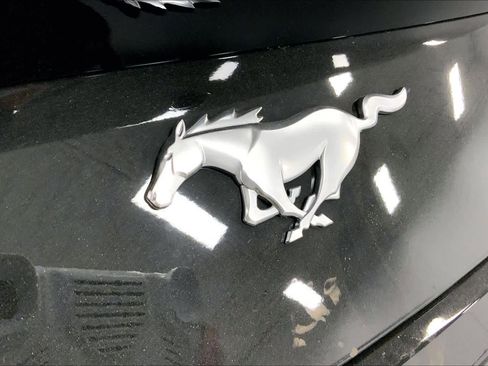 New 2026 Ford Mustang EcoBoost Fastback image 12