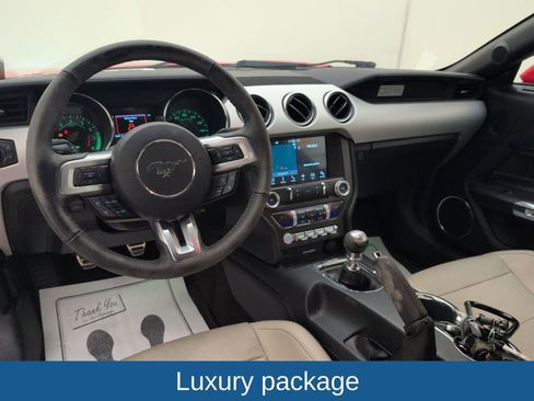 Used 2016 Ford Mustang Premium w/ Equipment Group 201A image 5