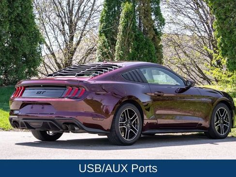 Used 2018 Ford Mustang GT w/ Equipment Group 301A RWD image 5
