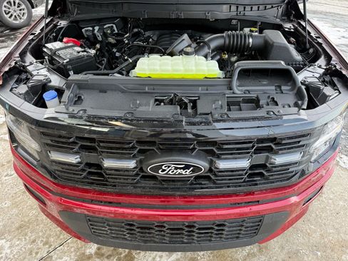 New 2025 Ford F150 STX w/ LOBO Package image 38