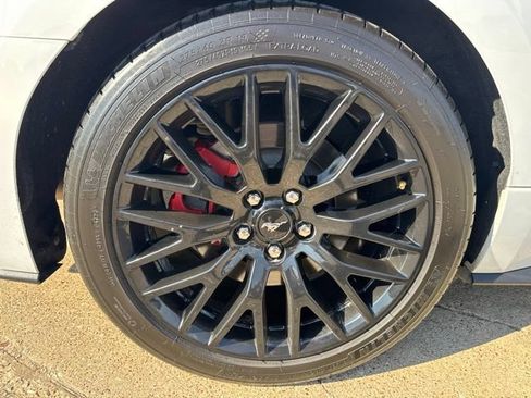 Used 2019 Ford Mustang GT Premium w/ California Special Package RWD image 6