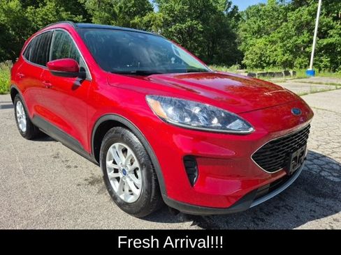 Used 2020 Ford Escape SE FWD image 3