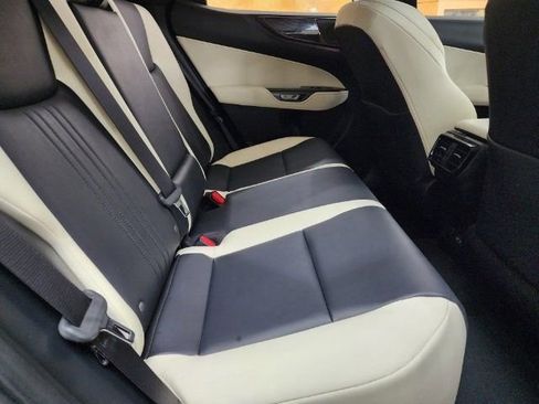 Used 2024 Lexus NX 350 AWD w/ Cold Area Package image 5