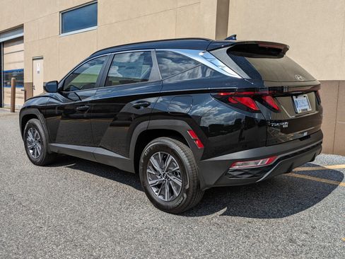 Used 2024 Hyundai Tucson Blue image 6