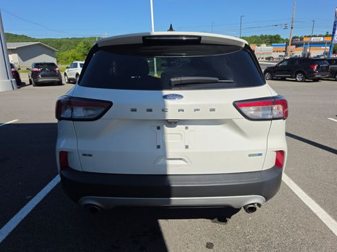 Used 2020 Ford Escape SE AWD/4WD image 4