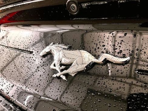 Used 2020 Ford Mustang Premium RWD image 13