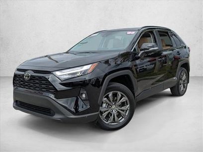 Certified 2025 Toyota RAV4 XLE Premium
