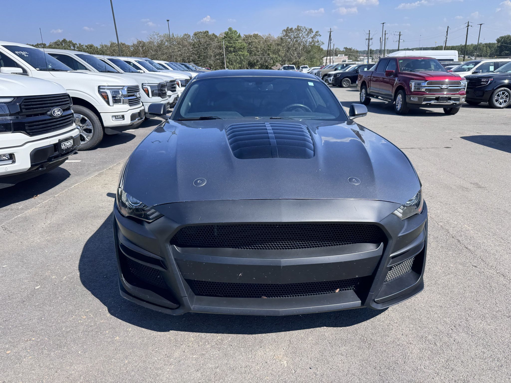 Used 2019 Ford Mustang GT w/ GT Performance Package RWD image 2