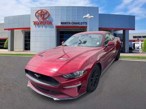 Used 2019 Ford Mustang Coupe image 4