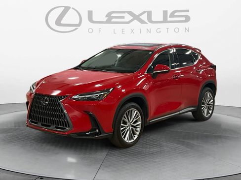 Certified 2025 Lexus NX 350h AWD w/ Accessory Package (2T) image 1