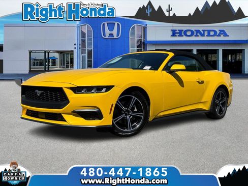 Used 2024 Ford Mustang Premium image 1