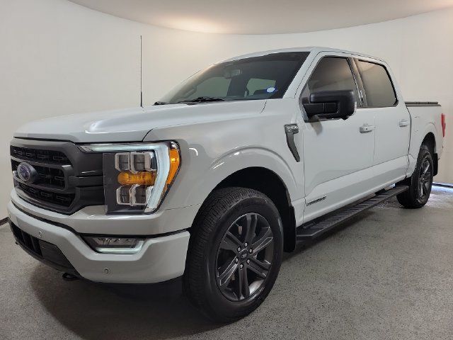 Used 2023 Ford F150 XLT w/ Equipment Group 302A High AWD/4WD image 3