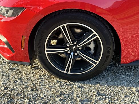 Used 2025 Ford Mustang Premium RWD image 11