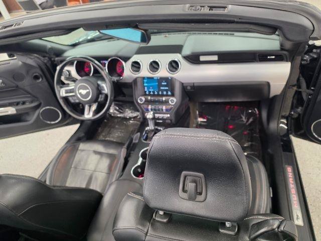 Used 2017 Ford Mustang GT Premium w/ Equipment Group 401A RWD image 16