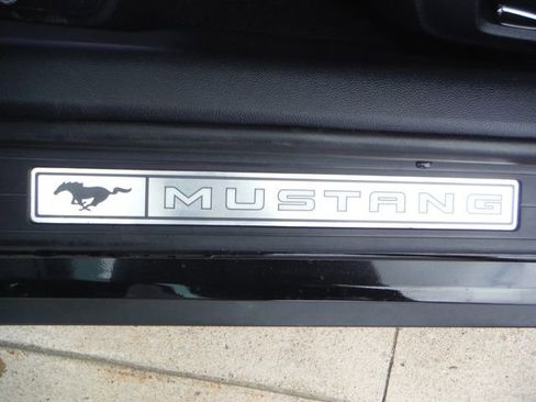 Used 2019 Ford Mustang Premium w/ Wheel & Stripe Package RWD image 20