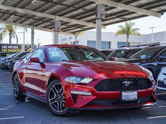 Certified 2021 Ford Mustang Coupe w/ Equipment Group 101A image 1