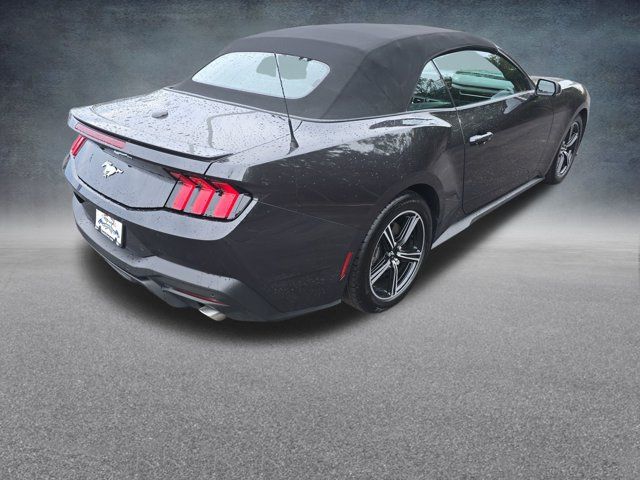 Certified 2024 Ford Mustang Premium RWD image 8