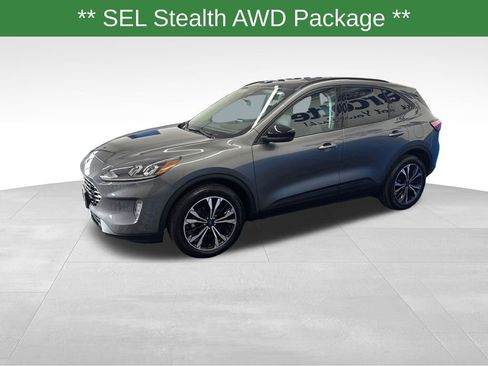 Certified 2022 Ford Escape SEL w/ SEL Stealth AWD Package image 5
