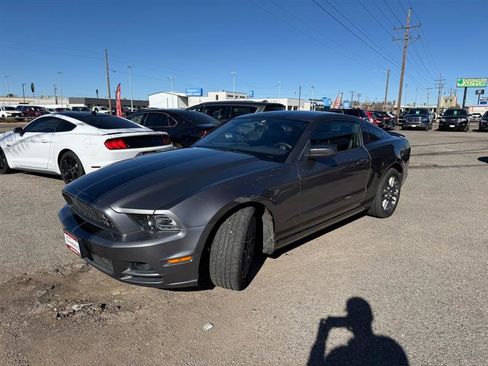 Used 2014 Ford Mustang Premium w/ Equipment Group 203A image 2
