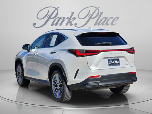 Certified 2025 Lexus NX 350 AWD w/ Cold Area Package image 3
