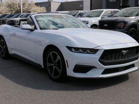 Used 2024 Ford Mustang Premium image 4