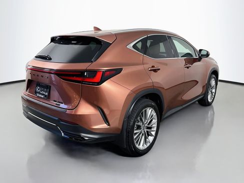 Certified 2025 Lexus NX 350h AWD w/ Cold Area Package image 7