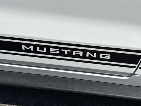 Used 2019 Ford Mustang Premium w/ Equipment Group 201A RWD image 29